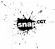 snapcgt.jpg